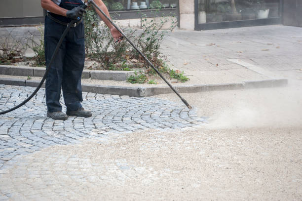 Best Sidewalk and Walkway Cleaning  in Llender, CA